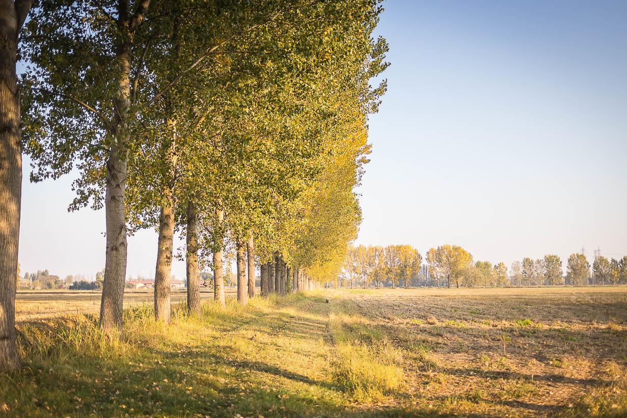 Cascina Gaggioli Villa Milano Dış mekan fotoğraf